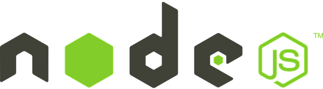 programmation node js