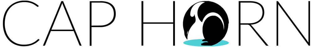Création logo et site internet Cap Horn Avocats